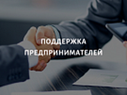 В Туве актуализируют меры поддержки бизнеса