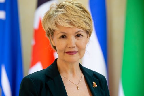 Поздравление сенатора Российской Федерации  Дины Оюн с Днем защитника Отечества