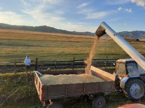 В Туве перевыполнили план экспорта сельхозпродукции