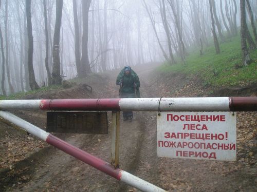 С 5 апреля 2021 года в землях лесного фонда Тувы введён пожароопасный период