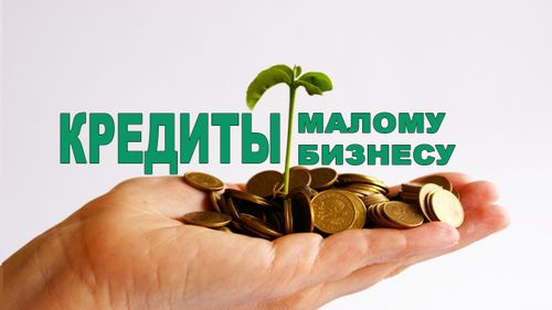 133 МИКРОЗАЙМА НА 178 МИЛЛИОНОВ РУБЛЕЙ ВЫДАНО МАЛОМУ БИЗНЕСУ ТУВЫ