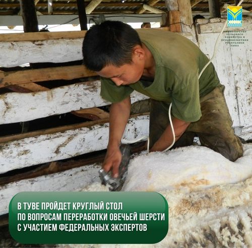 Дело перспективное и прибыльное
