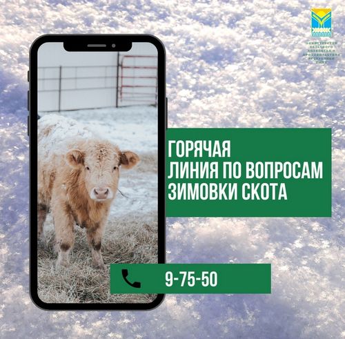 В Туве работает оперативный штаб по вопросам зимовки скота