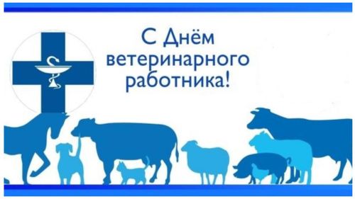 Министр сельского хозяйства Тувы поздравил ветеринаров с их профессиональным праздником