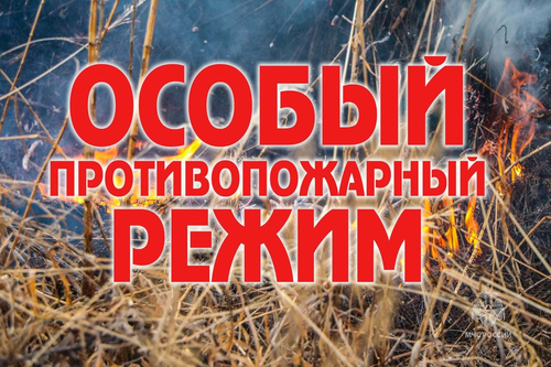 На территории Тувы особый противопожарный режим продлен до 4 октября