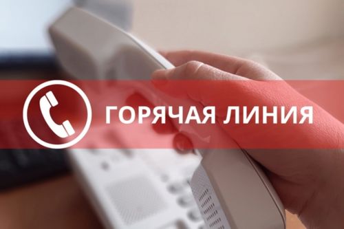 У регионального филиала фонда «Защитники Отечества» появился телефон горячей линии