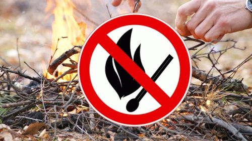 В Туве до 23 августа продлили особый противопожарный режим
