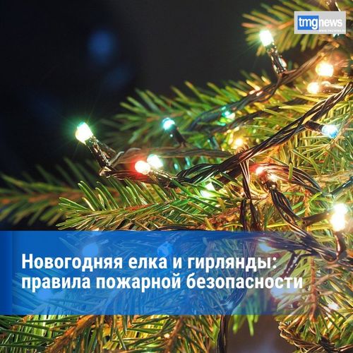 Служба ГО и ЧС: «Соблюдайте правила пожарной безопасности при украшении дома на Новый год»