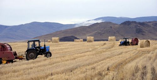 В Туве началась кормозаготовительная кампания