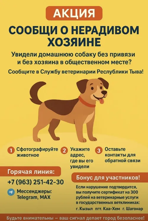 В Туве стартует социальная акция «Сообщи о нерадивом хозяине»