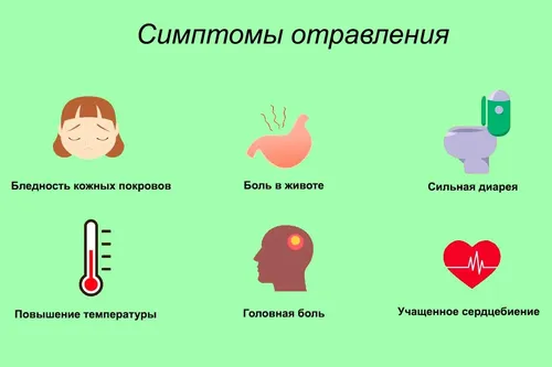 Частота пищевых отравлений значительной увеличивается в сезон праздников, в том числе новогодних
