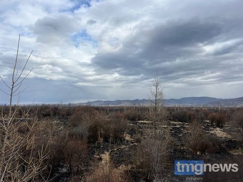 В селе Владимировка с начала вчерашнего дня возникла угроза пожара, который приближался к населенному пункту
