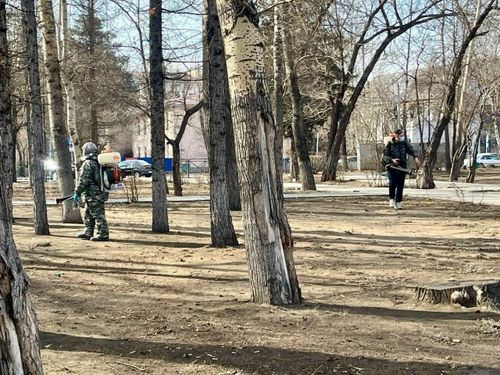 Сезонная защита от клещей в местах массового посещения