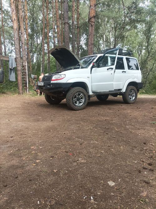 Весточка с фронта