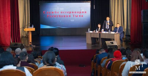 В Туве обсуждаются поправки в закон о возможном появлении пункта «О гуманном умерщвлении опасного для людей бездомного животного»