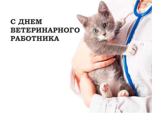 Сегодня - День ветеринарного работника