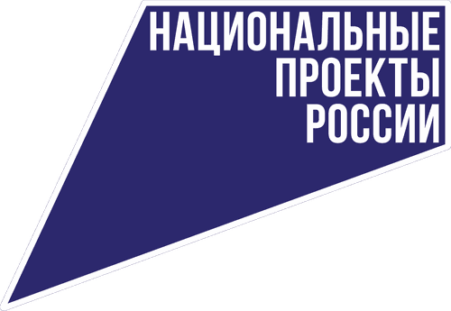 Жители Тувы могут бесплатно обучиться навыкам кибербезопасности на Госуслугах