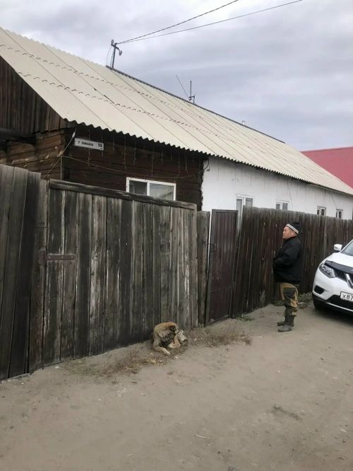 Безответственность наказуема: итоги акции «Сообщи о нерадивом хозяине»