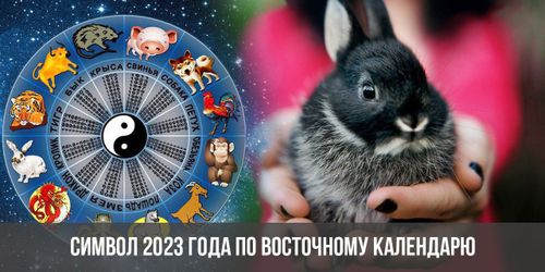 Черный Водяной Кролик. Как отметить Новый год и порадовать его символ