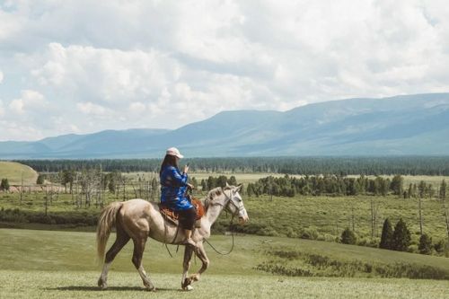 Индустрия гостеприимства