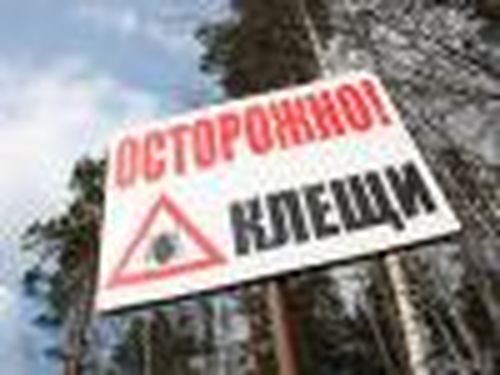 Опасный укус