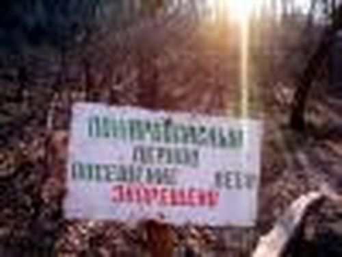 Особый режим
