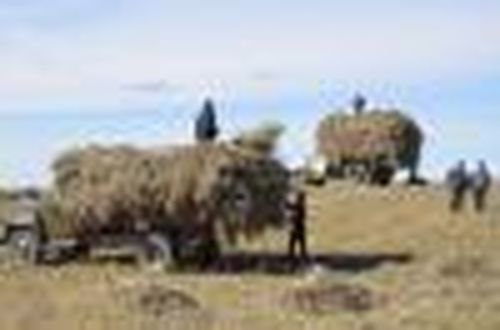 Заводская страда