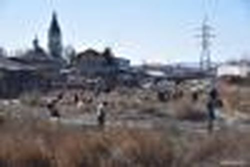Тонмас-Суг стал чище