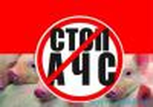 Ветеринарные заслоны