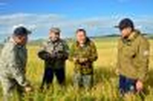 Возрождение житницы