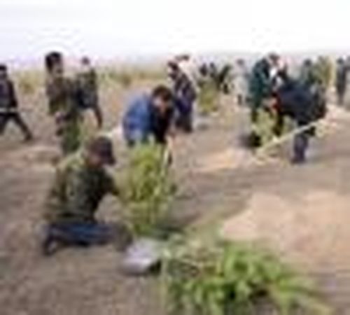Не ограничиваться улицами