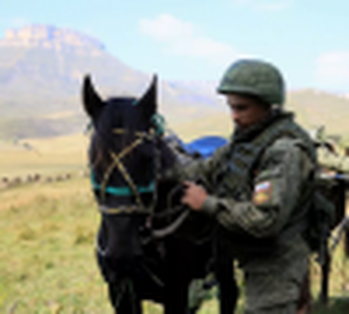 Поймать лошадь на лассо