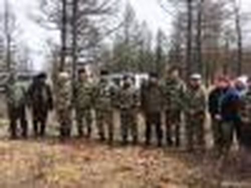 1400 саженцев сосны обыкновенной