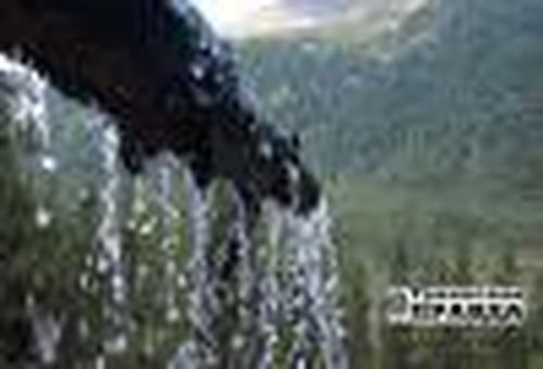 Чудотворные аржааны