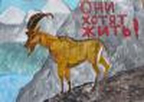 Дети рисуют природу