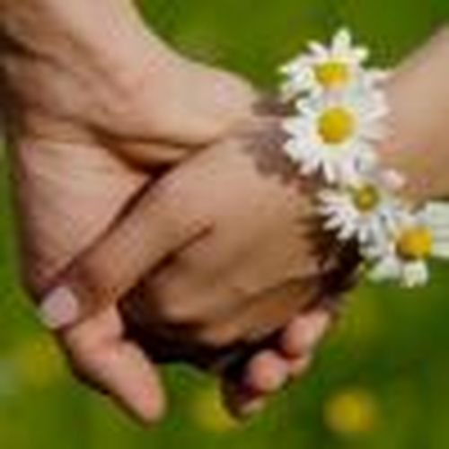 План основных мероприятий, посвященных Всероссийскому дню семьи, любви и верности