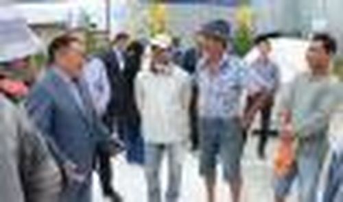 Навстречу ветру…