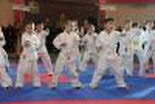 Тува нанесена на карту каратэ России