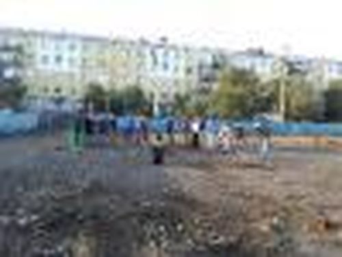 Возродить дворовый хоккей