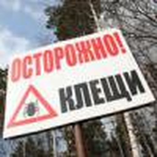 Защитит прививка
