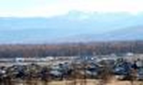 В Кунгуртуге родились четверо малышей