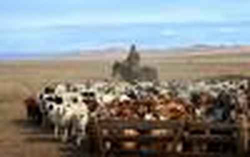 «Кыштаг» вошёл в шорт-лист