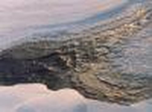 Случаи на водных объектах