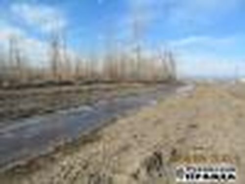 Кто держит реки в берегах