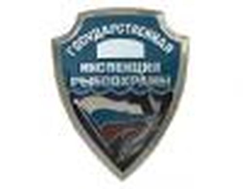 Улов рыбнадзора