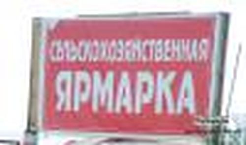 Золотая осень сельчан