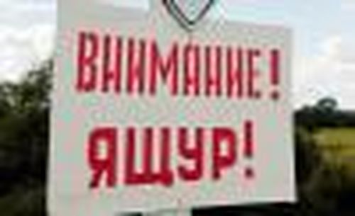 Предупрежден, значит, вооружен...