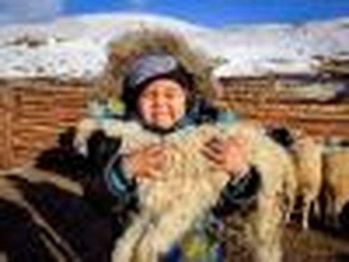 Окотная кампания в Туве близится к завершению